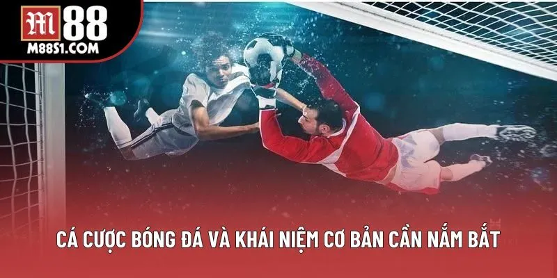 Cá cược bóng đá và khái niệm cơ bản cần nắm bắt