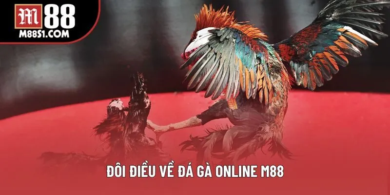 Đôi điều về đá gà online M88