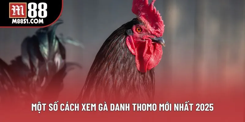 Một số cách xem gà danh thomo mới nhất 2025