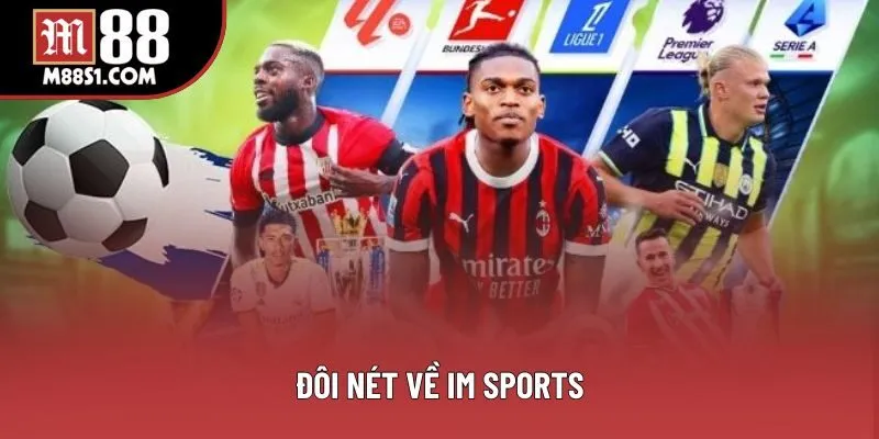 Đôi nét về IM Sports
