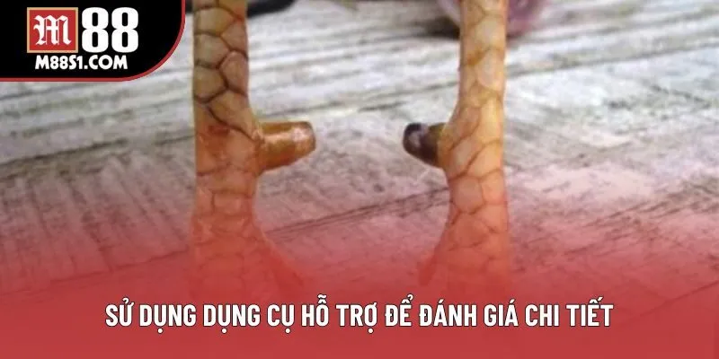 Sử dụng dụng cụ hỗ trợ để đánh giá chi tiết
